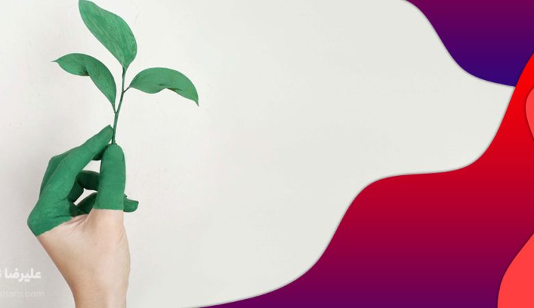 رشد فرد در روانشناسی