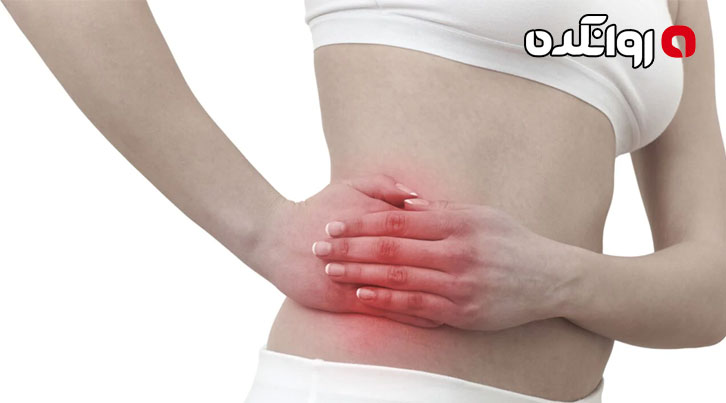 سیستم عملکرد کلیه‌ها چگونه است؟