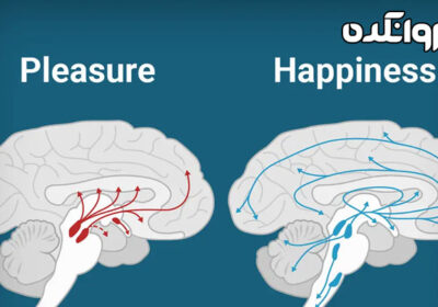 شادی در مغز شما چه شکلی است؟