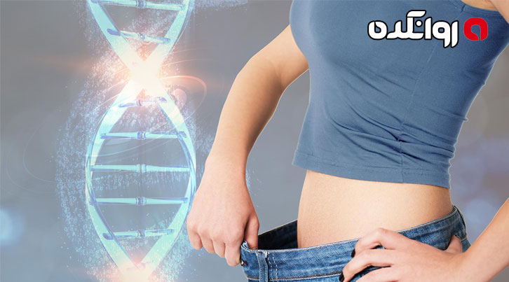 ژن‌ ها چه تاثیری روی وزن افراد دارد؟